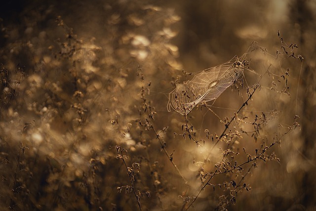 Web Tasarım Eğitimi: Yaratıcılığınızı Geliştirirken Teknik Bilgilerinizi De Güçlendirin!