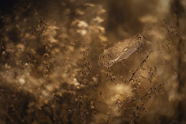 695d7c4590b7b 1767734341