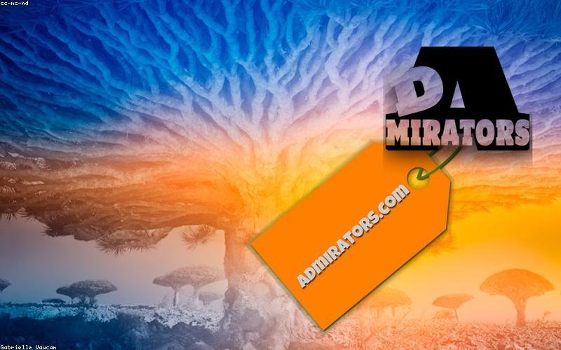 Adana PHP Altyapılı İnternet Sitesi Kuran Firmalar