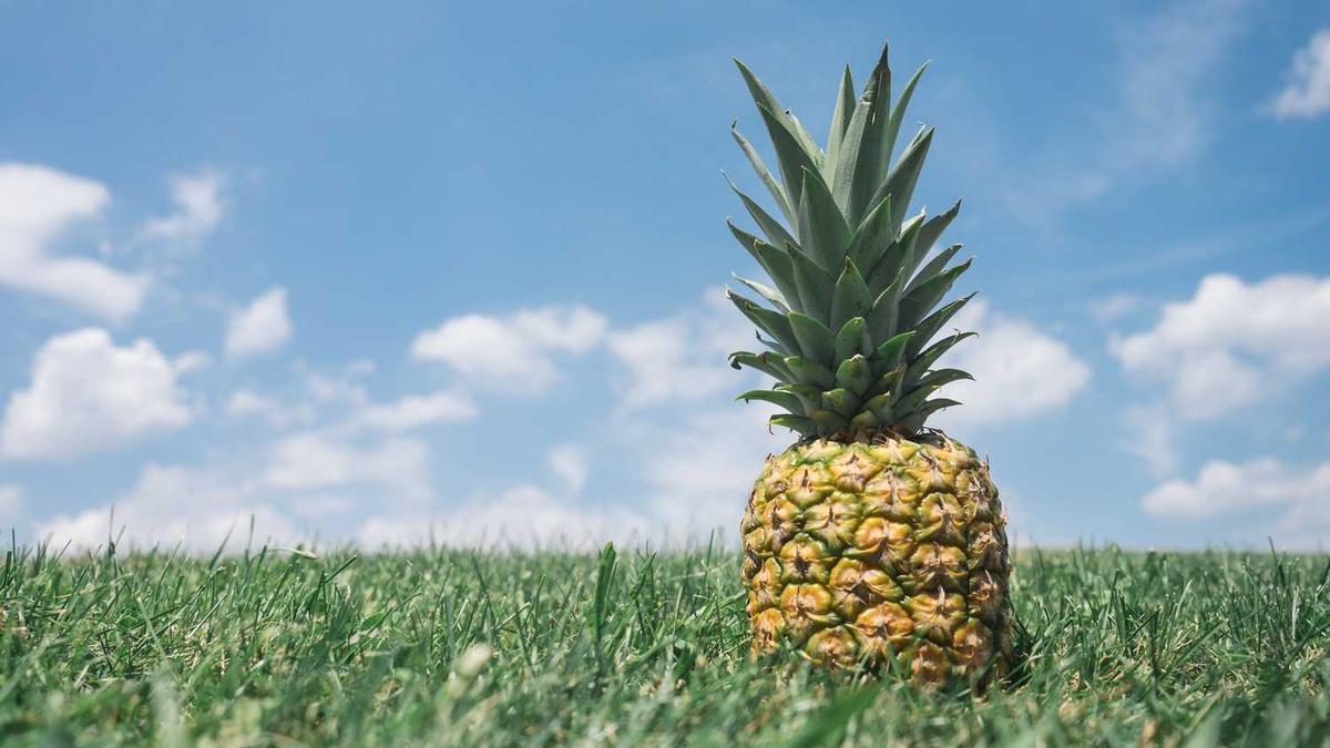 Adana E-Ticaret Firmaları ile Pazaryeri Entegrasyonları