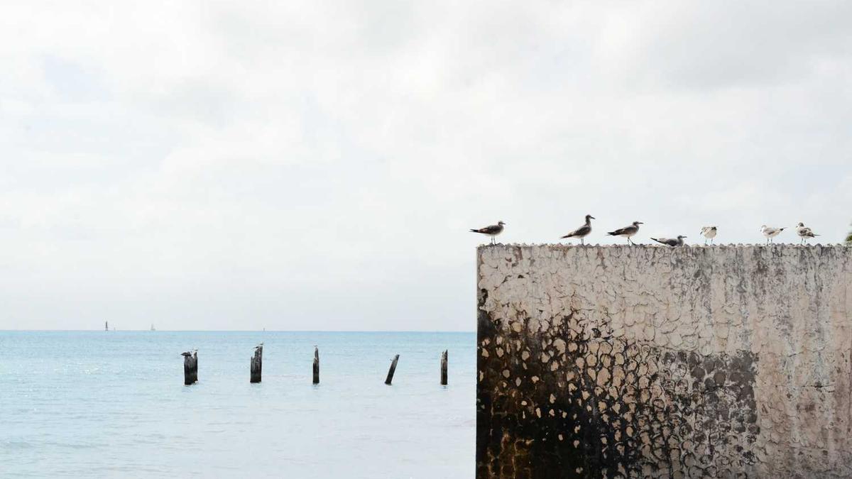 Yapay Zekâ ile Reklam Metni Yazmak Gerçekten İşe Yarıyor mu?