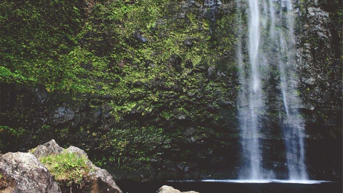 Adana'da internet sitesi yapan firmalar