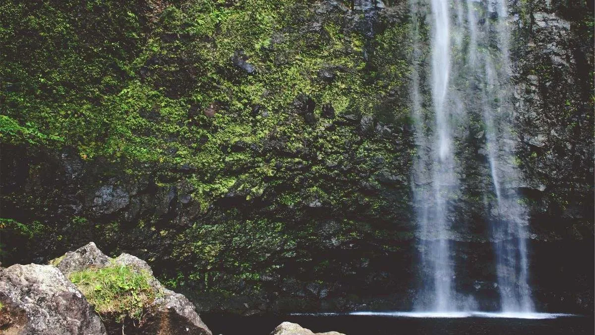 Adana Web Tasarım Firmaları