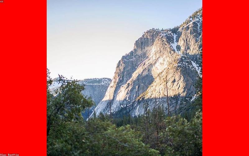 Adana Web Tasarım Firmaları