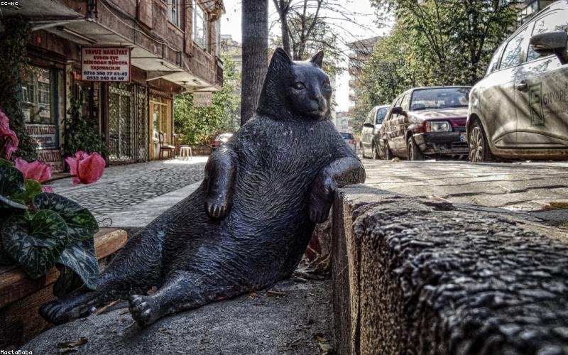 Başarılı Uygulama İpuçları