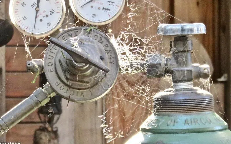 Adana İnternet Sitesi Güncelleme ve Yenileme