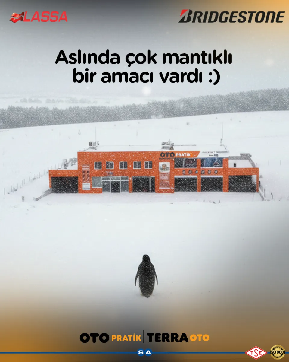 Adana Web Tasarım Ücretleri